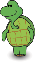 Wushu Turtle