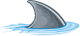Le ventre du requin
